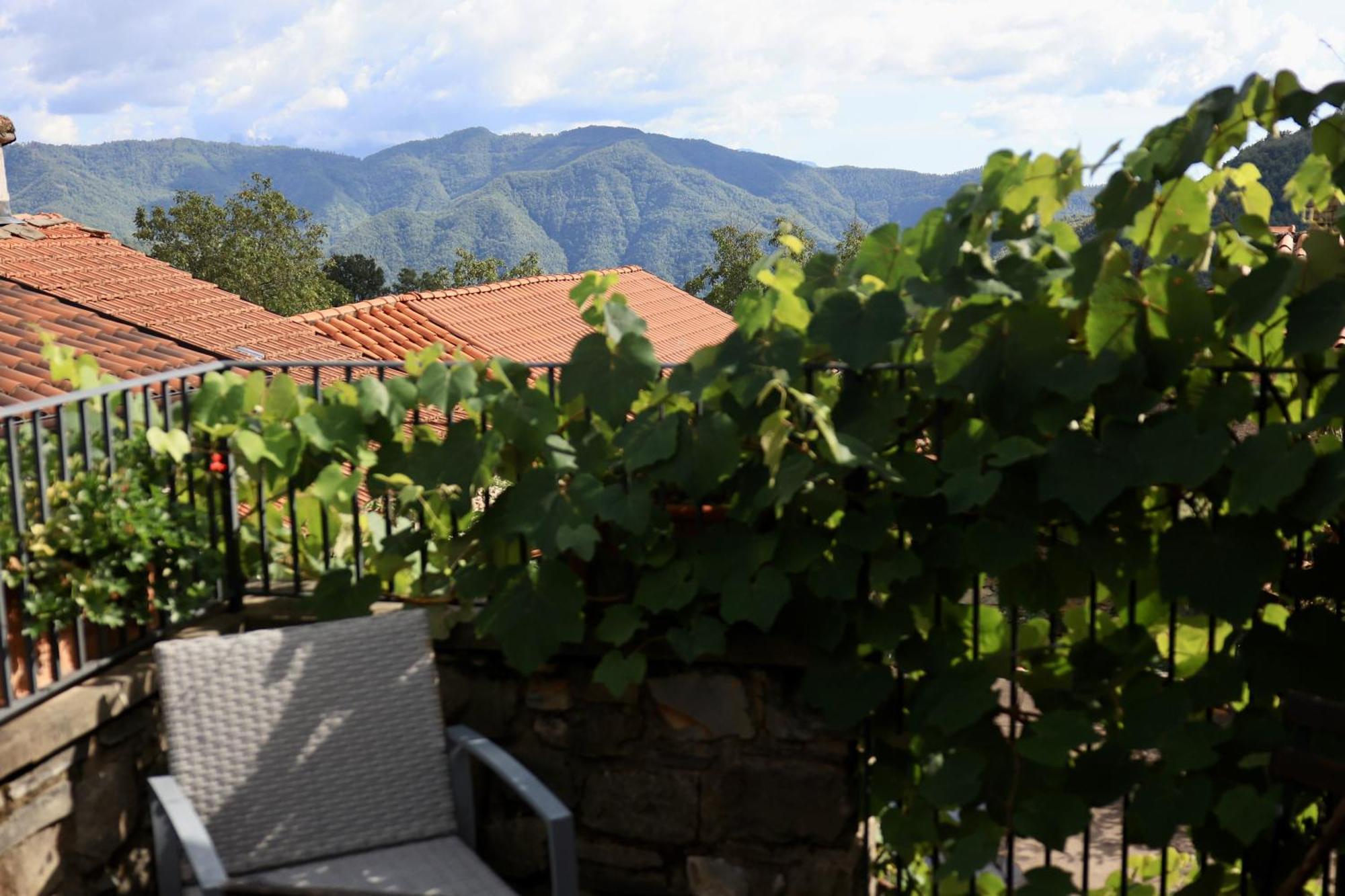 Agriturismo Montagna Verde Apella Licciana Nardi エクステリア 写真