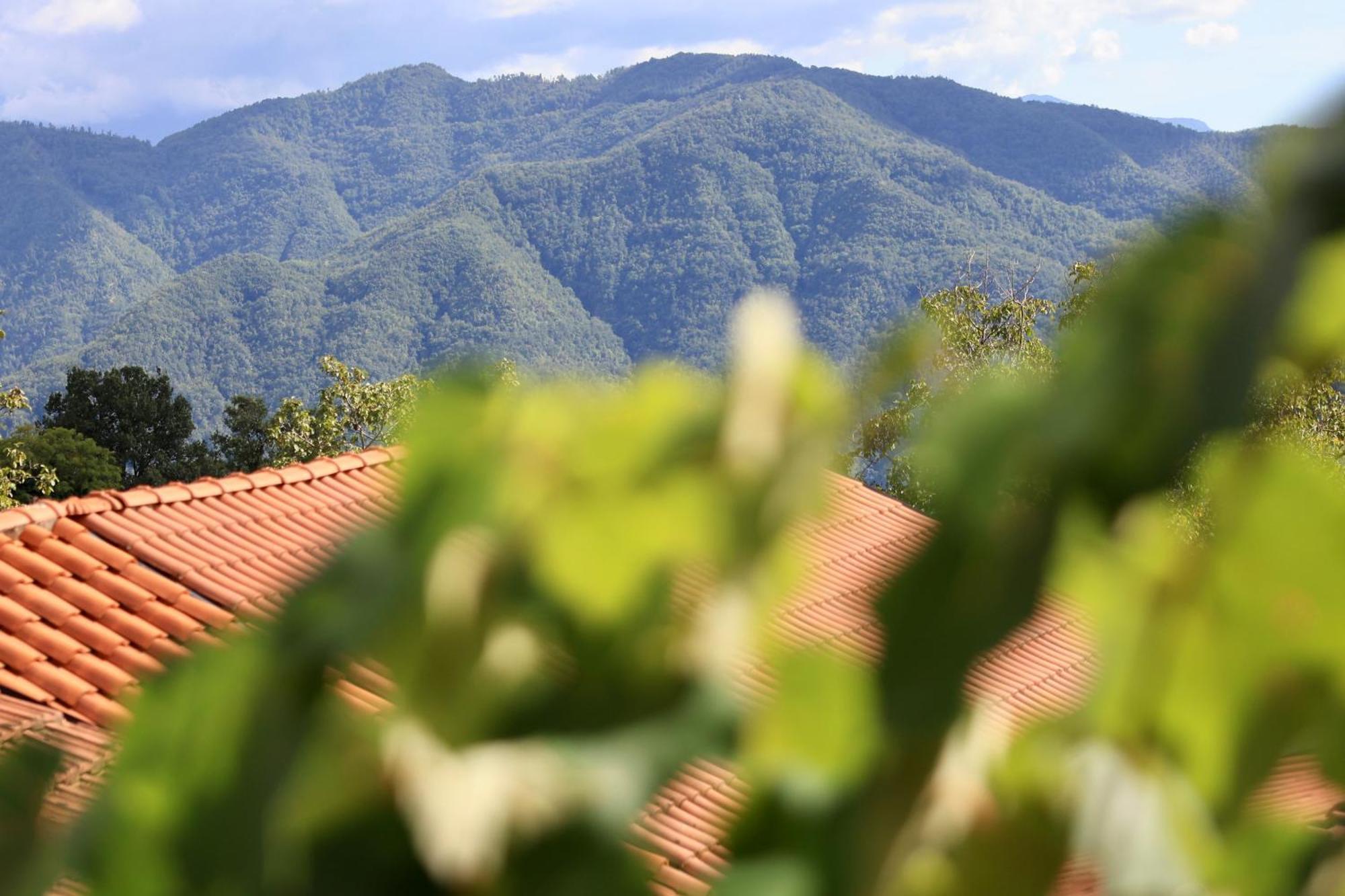 Agriturismo Montagna Verde Apella Licciana Nardi エクステリア 写真